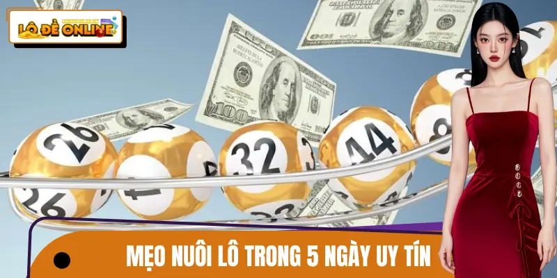 nuoi-lo-khung-5-ngay-meo-choi